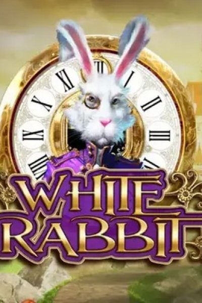 White Rabbit demo